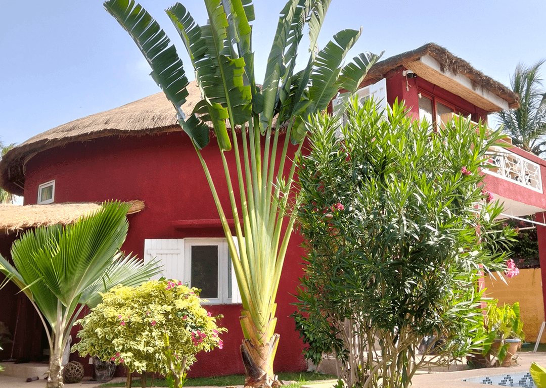 Le jardin de Casa Noppalu